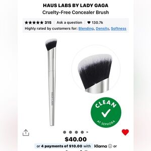 Haus Labs concealer brush